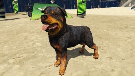 COD Warzone Rottweiler