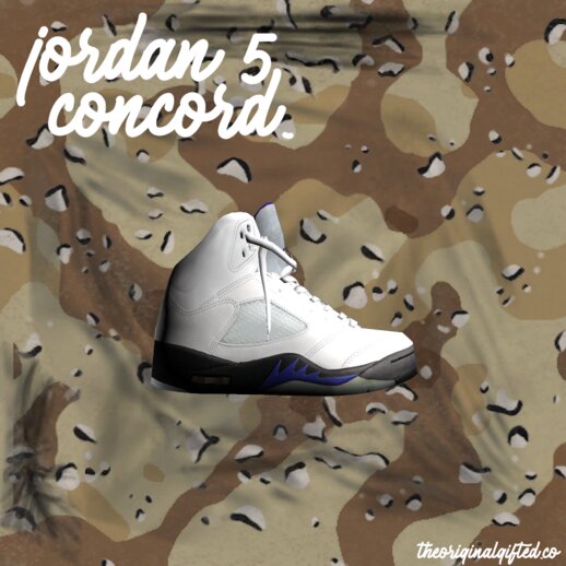 Jordan 5 Retro Concord