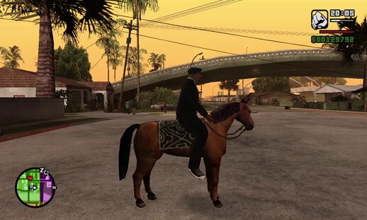 Horse Modification 