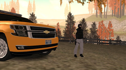 Halloween Fest Security Guard