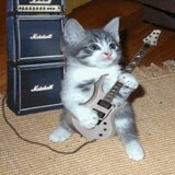 Vic